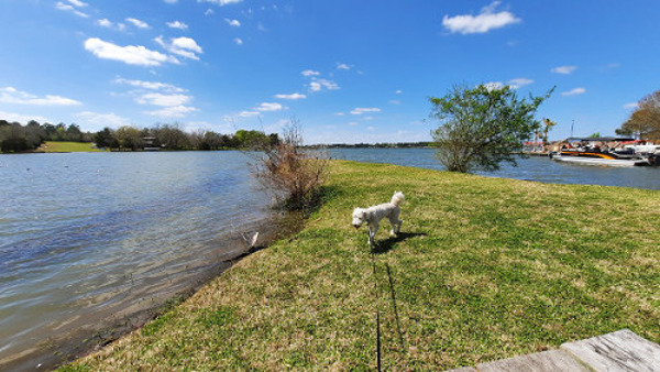 Lake Conroe RV & Camping Resort