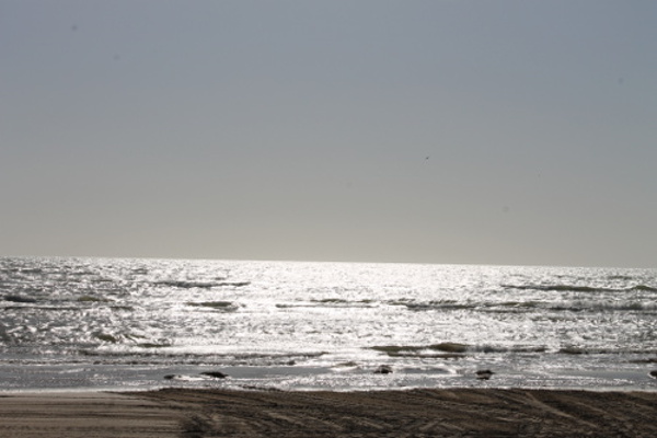 Boca Chica State Park