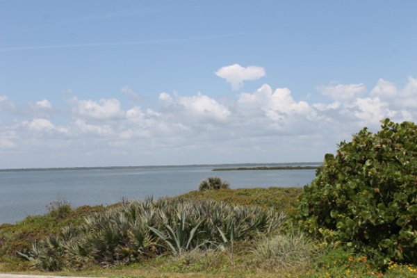 The Canaveral National Seashore