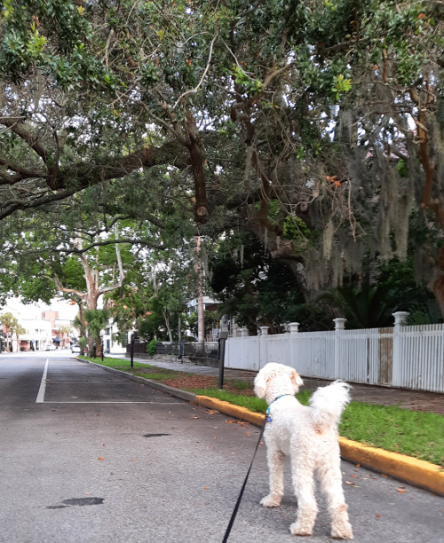 Beaufort, SC