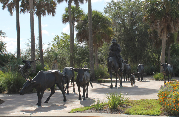 Brownwood Paddock Square