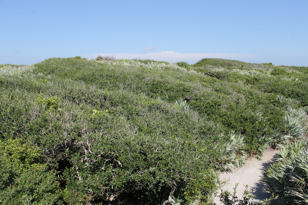 Ponce Preserve