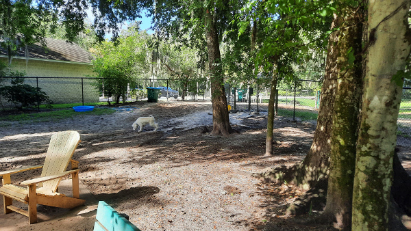 Riviera Oaks Dog Park