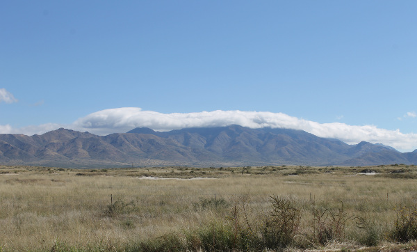 Wilcox Arizona
