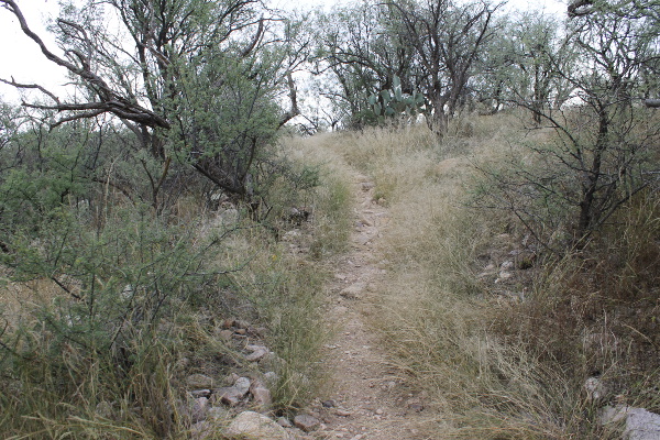Foothills Loop Hiking Trail