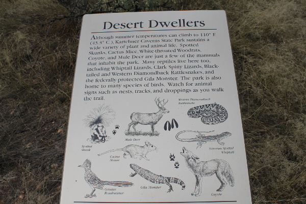 Foothills Loop Hiking Trail