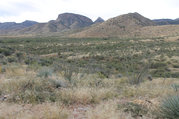 Foothills Loop Hiking Trail