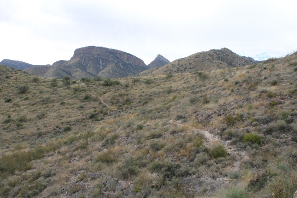 Foothills Loop Hiking Trail