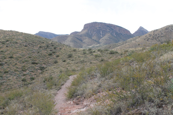 Foothills Loop Hiking Trail