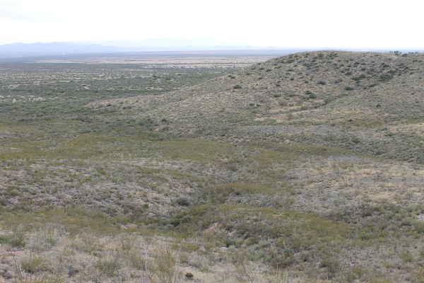 Foothills Loop Hiking Trail