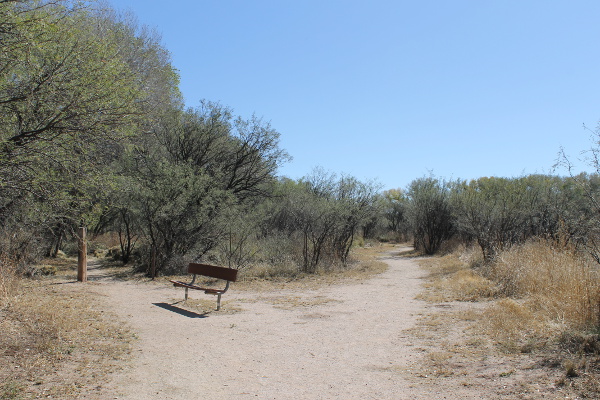 Hiking Trail