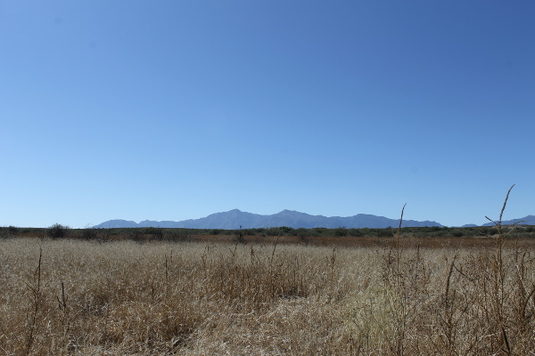 Hiking Trail