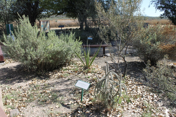 San Pedro House Gardens