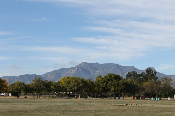 The Huachuca Mountains