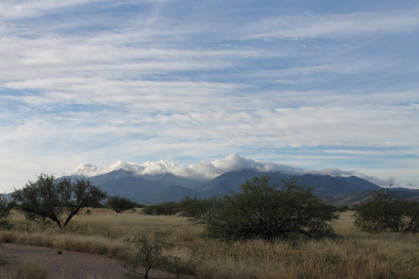 The Huachuca Mountains