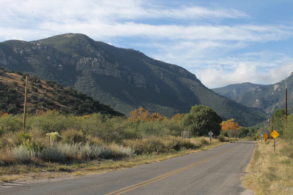 Ramsey Canyon Preserve
