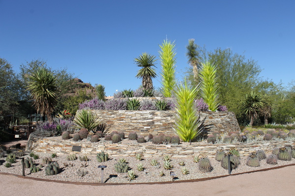 Phoenix Botanical Gardens