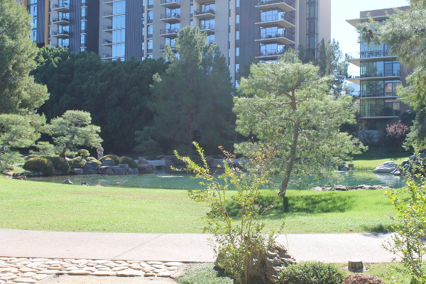 Japanese Friendship Garden