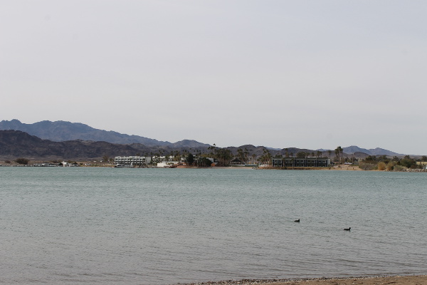 Rotary Community Park