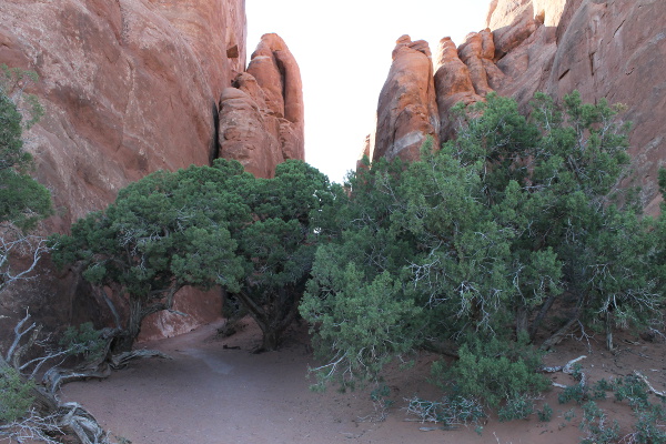 Arches National Park