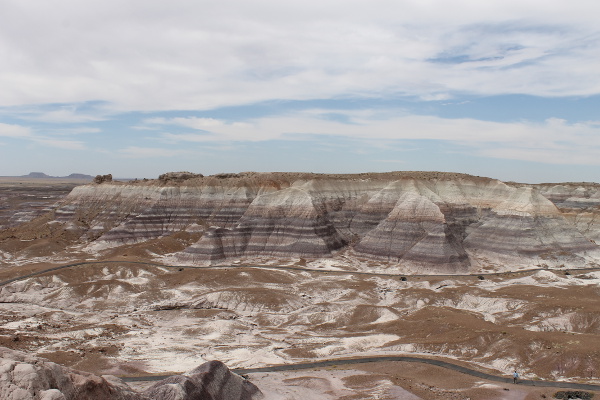 Petrified Forrest National Park