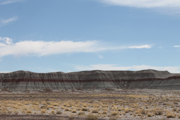 Petrified Forrest National Park