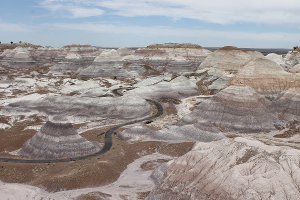 Petrified Forrest National Park