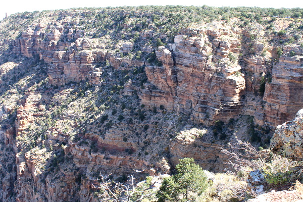 The Grand Canyon