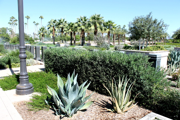 LDS Mesa Arizona Temple