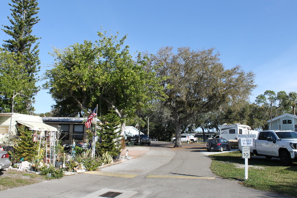 Encore Terra Ceia