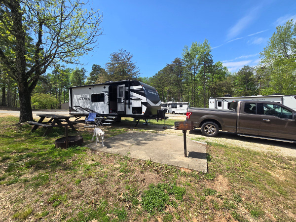 Carolina Landing