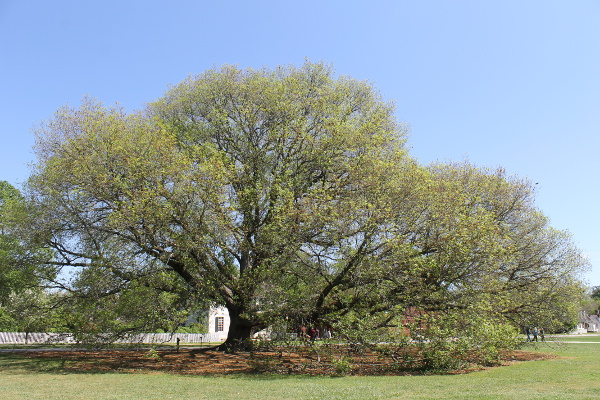 Williamsburg, Virginia