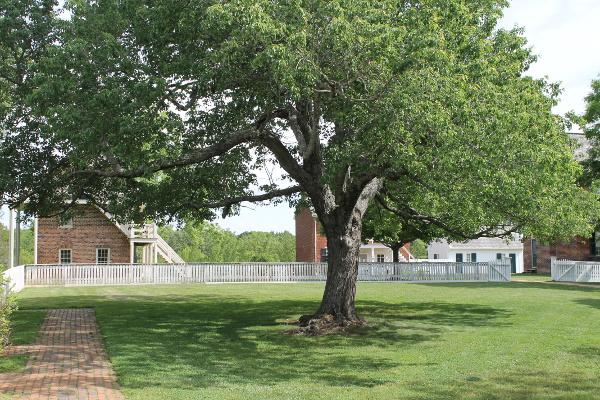 Appomattox Court House, VA