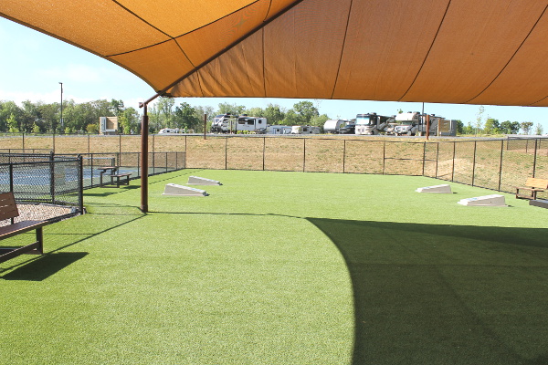Cornhole Pitch