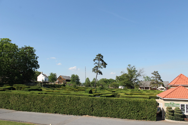 The Garden Maze