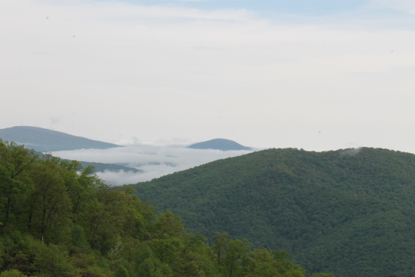 Shenandoah National Park