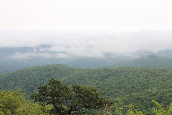 Shenandoah National Park