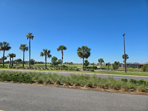 Sawgrass Grove Town Square