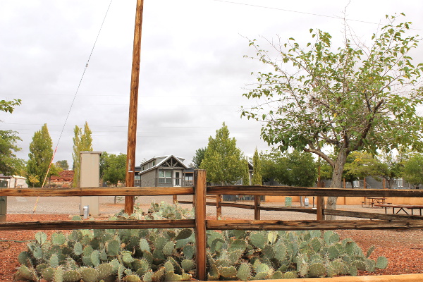 Page Lake Powell Campground