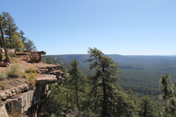 Mogollon Rim