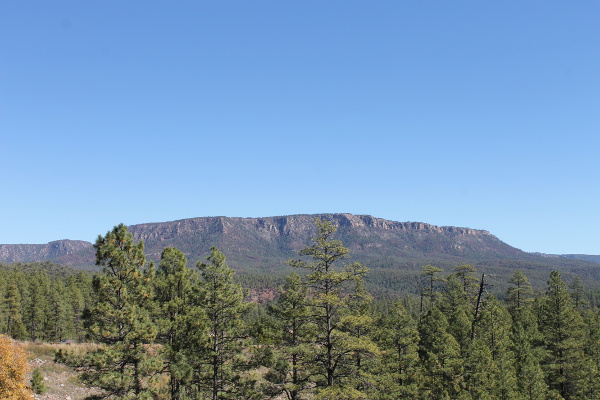 Mogollon Rim