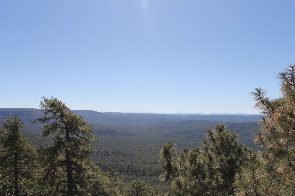 Mogollon Rim