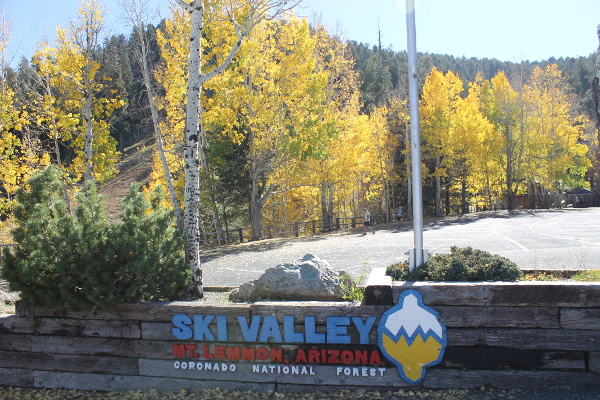 Mt. Lemmon Scenic Dr