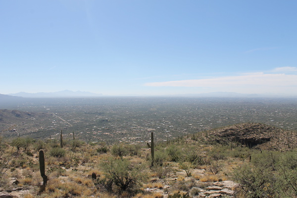 Mt. Lemmon Scenic Dr