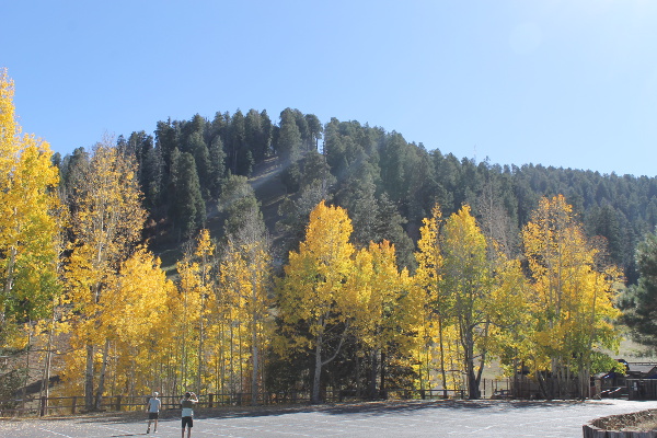 Mt. Lemmon Scenic Dr