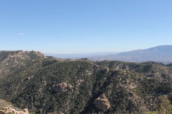 Mt. Lemmon Scenic Dr